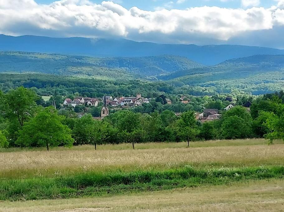 Chez Rozenn Et Mewen Apartman Romanswiller Kültér fotó