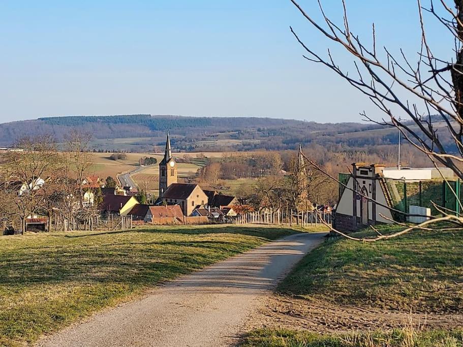 Chez Rozenn Et Mewen Apartman Romanswiller Kültér fotó